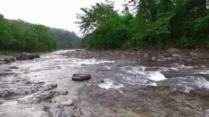 Природа дарит спокойствие, слушайте шум дождя, спокойно текущую воду в лесу