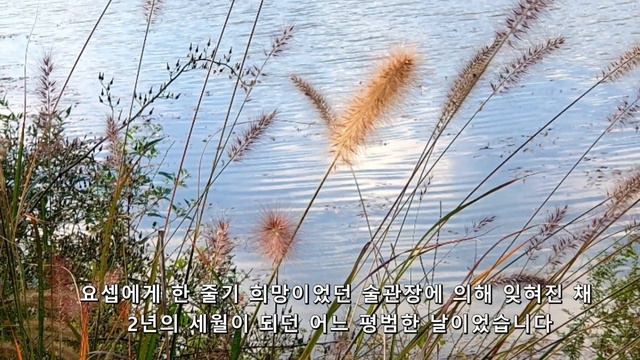 광야는 하나님의 비밀의 화원(그곳에서도 형통한 요셉) ㅡ 요셉 3