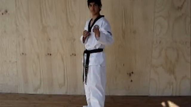 Chagui Kyosa Nim Francisco Mendoza смотреть онлайн