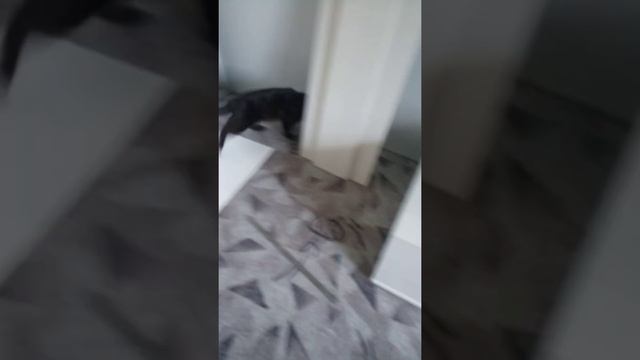 Обзор на воздушный пластилин