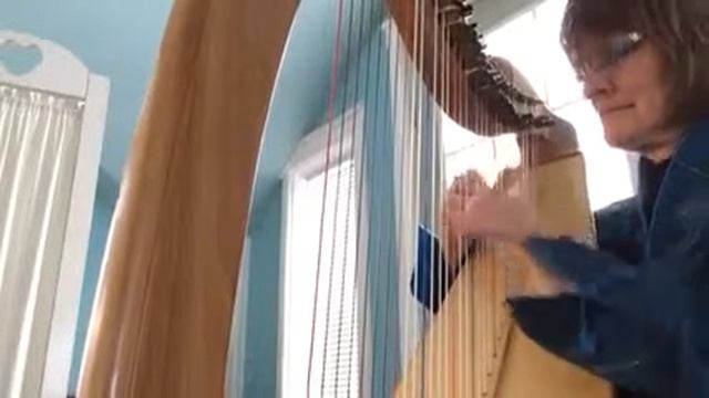 Caseys Hornpipe on the Celtic Harp.