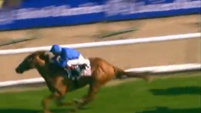 RIO DE LA PLATA смотреть онлайн