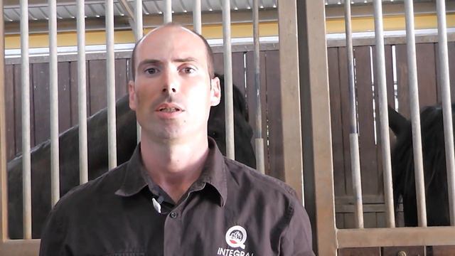 Alimentación- Reducir el pienso y aumentar el forraje en verano смотреть онлайн