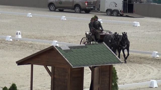 Roland István VARGA ROU - CAI H2 Szilvásvárad Hungary dressage 13 July 2023