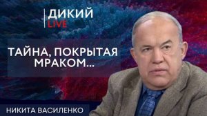 Нельзя быть немного беременной... Никита Василенко.
