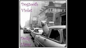 Dogtooth Violet - Man In A Bag