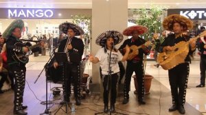 Little Mariachi Band @ Maltepe Park Aralık 2015