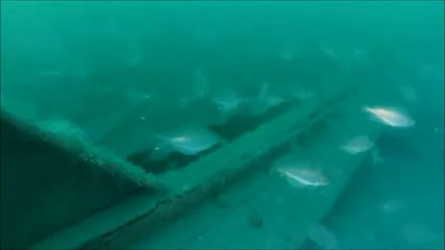 Plongée sur le Pietro Orseolo смотреть онлайн