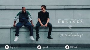 Martin Garrix feat. Mike Yung - Dreamer (DJ Sealf Mashup)