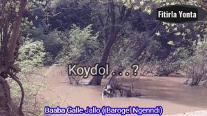 Yimre Koyɗol, Baaba Galle (Barogel Ngenndi)