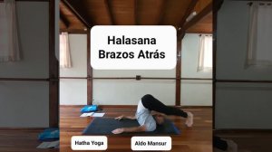 Halasana Brazos Atrás - Hatha Yoga - Aldo Mansur