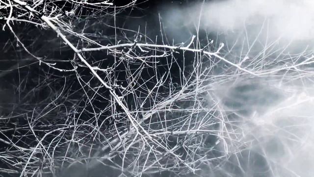 VID 20240302 000103 любовь сильнее чем забыть...(Эдвард Эстлин Каммингс)...Павел Васильев Лахтински смотреть онлайн