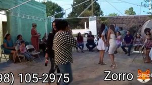 Pura Polka Pesada Con Zorro En Loreto Río Grande Zacatecas