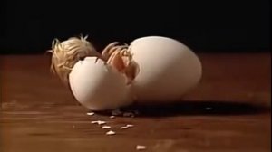 Bill Viola, I Do Not Know What It Is I Am Like (1986) / Egg Hatch