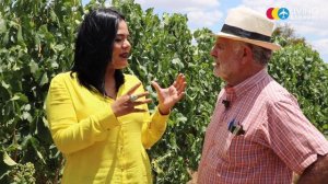 ¡Haz tu propio vino en Vinícola Bernat! / Toma Vino de Guanajuato