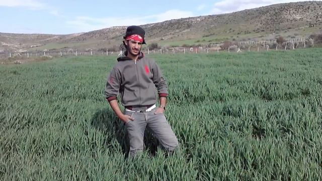 mohamed zeroual.chara3a kijoo mourad+fathi смотреть онлайн