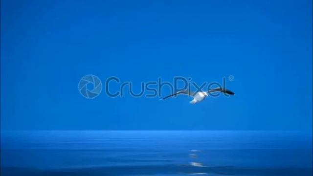 Domenico Modugno Dio come ti amo cover by Andrea Vitale смотреть онлайн