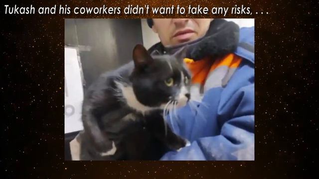 Garbage Truck Worker Sees Trash Bag Moving In The Road, Opens It And Jumps смотреть онлайн