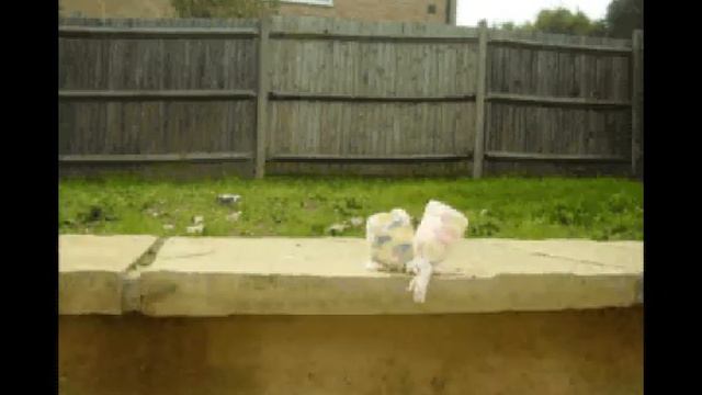 innocent smoothie hats dancing смотреть онлайн