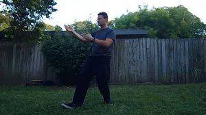 Backyard Tai Chi