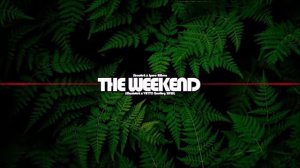 Showtek, Spree Wilson  - The Weekend (Maniutek x VAYTO Bootleg 2020)