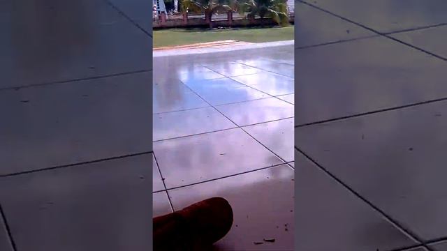 NALDO смотреть онлайн