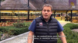 Spieraandoeningen / Muscle injuries - DVM Erik Bergman