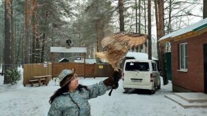 Новогодние праздники в Парке Отдыха