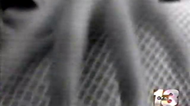 Brice Taylor and Ted Gunderson смотреть онлайн