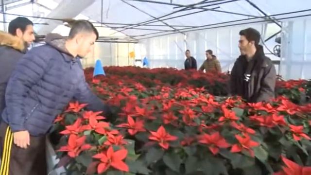 Gli orti scolastici del "Pollini" di Mortara negli istituti della provincia смотреть онлайн