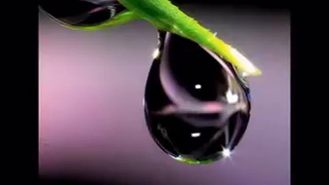 Píseň o rose show0 смотреть онлайн