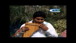 PALOMA BLANCA _ ANGELICA MARIA (HD)