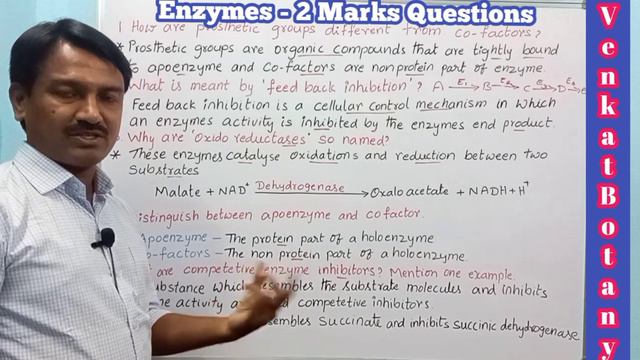 Enzymes - 2 marks Questions | Sr Botany смотреть онлайн