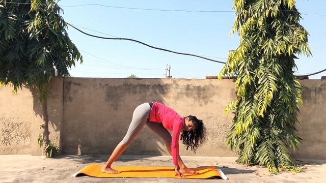 New Beginnings - Day 16 of 30 Days of Yoga | Chandra Namaskar Yoga Flow | FitNCalm - 27 mins смотреть онлайн