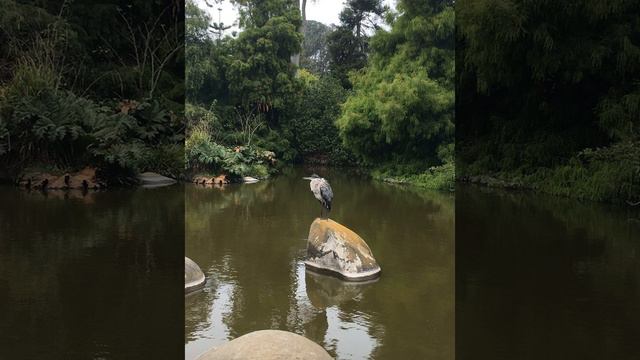СЕРГЕЙ АЛЕКСЕЕВ "ЗЕМЛЯ СИЯЮЩЕЙ ВЛАСТИ" смотреть онлайн