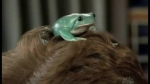 Conan O'Brien 'Late Night 'Clyde Peeling and his Animals 3/2/04