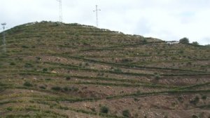 Portugal N°2 Les vignobles du nord et des vins de Porto LC VIDEO