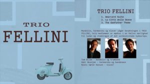 Amarcord Suite | cover by Trio Fellini | Emir Bosnjak