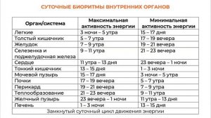 Суточные биоритмы внутренних органов | Огулов А Т