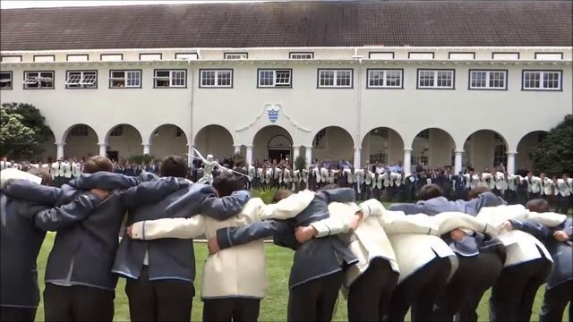 Grey War Cry смотреть онлайн