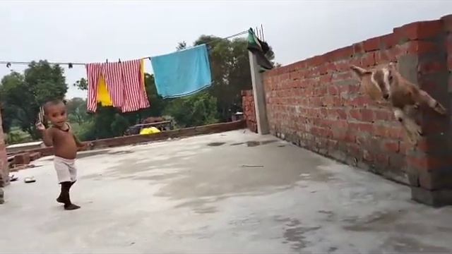 Muhammad kasim Siddiqui #kasimsiddiqui21 #kasim_siddiqui_21 смотреть онлайн