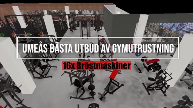 Legendary Gym Umeå смотреть онлайн