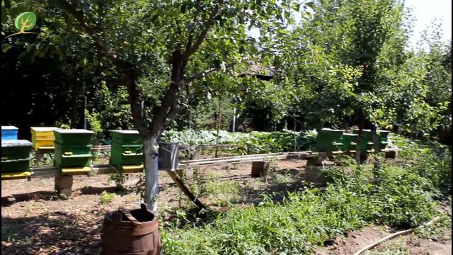 Интегриране на ромски общности чрез икономически инициативи - Сдружение "Нов път" - с. Хайредин смотреть онлайн