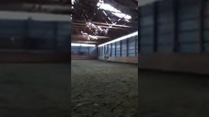 Sara rides a Lippizaner!