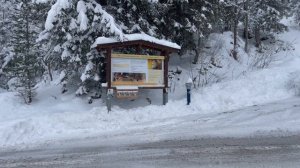 Eine Erfolgsgeschichte aus dem Gasteinertal - 50 Jahre Gesundheitszentrum Bärenhof Bad Gastein.