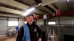 Shearing our only crossbred and a chat with the shearers