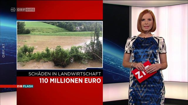 2018jul02 ORF ZIB Flash 110 Millionen Euro Schaden in der Landwirtschaft смотреть онлайн
