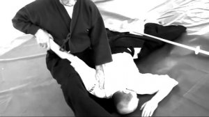 Ogawa Ryu NY Daihyo-sha