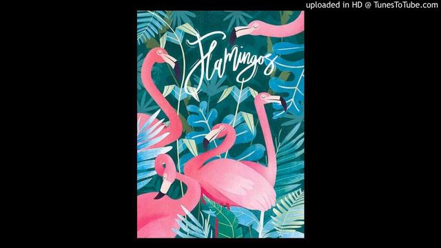 EDMUND ANDERSON・TED GROUYA：FLAMINGO　for STRING ENSEMBLE　エドムンド・アンダーソン　テッド・グルーヤ：フラミンゴ　弦楽アンサンブル版