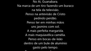 227II PSICOGRAFIA DE MÁRIO DE ANDRADE - POESIA, TE ESCREVO  AGORA FEZES - POR HERMÍNIO MENEZES NETO